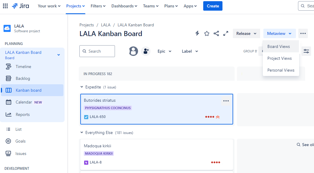 BOARD VIEW